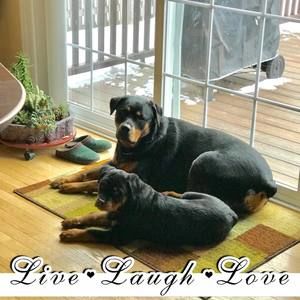 Meet your Posher, Marcy